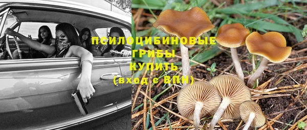 герыч Балахна