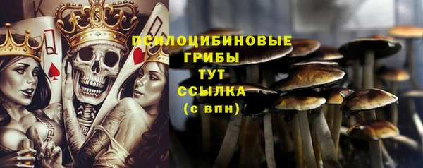 марки nbome Баксан